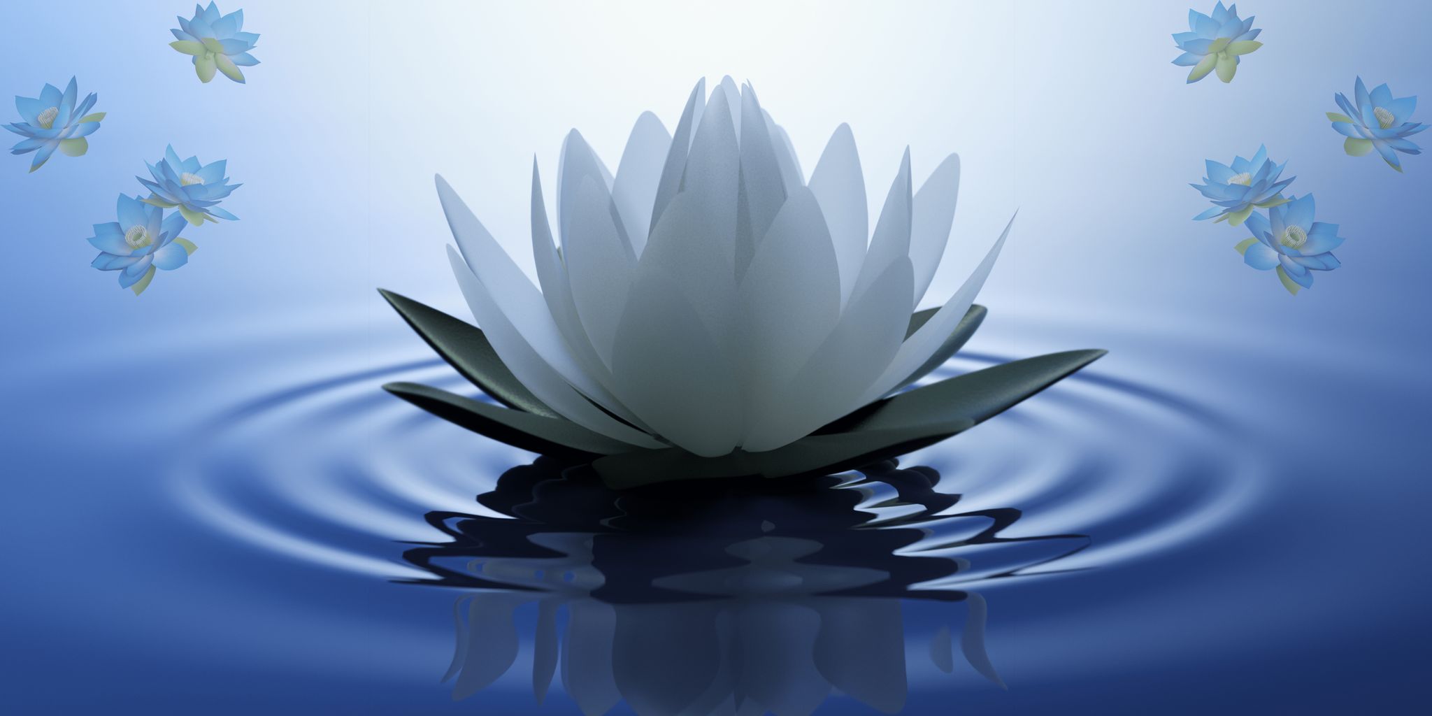 Was ist Blauer Lotus & wie wird er konsumiert? - cannadelic