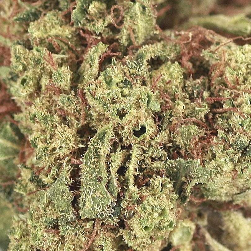 45% H2 Superior Blend Aromablüten 2g | Gelato 41 - cannadelic