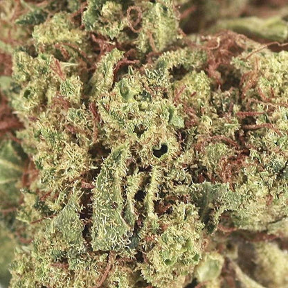 45% H2 Superior Blend Aromablüten 2g | Gelato 41 - cannadelic