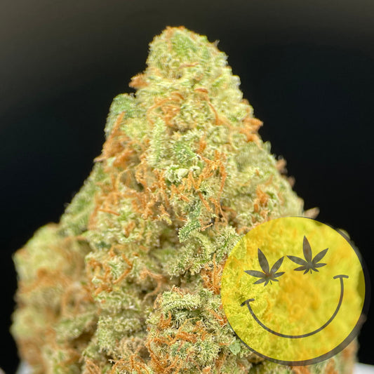 Amnesia Haze premium CBD Blüten