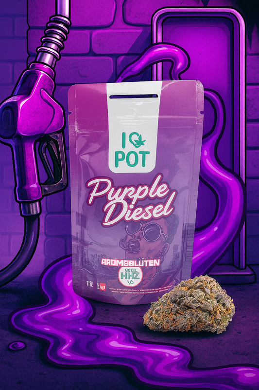 HHZ Blüten | Purple Diesel 5g