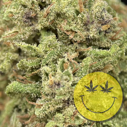 Forbidden Fruit premium CBD Blüten