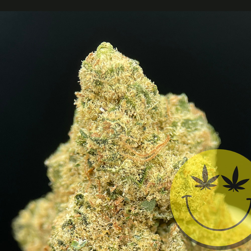 L.A. Kush Cake CBD Blüten