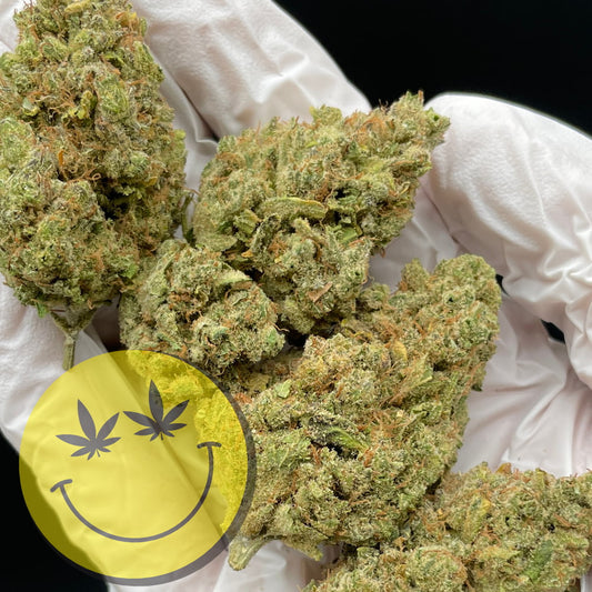 Northern Lights premium CBD Blüten