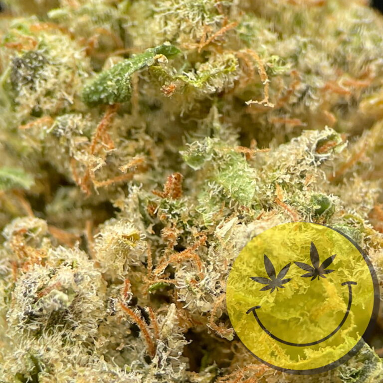 Northern Lights premium CBD Blüten
