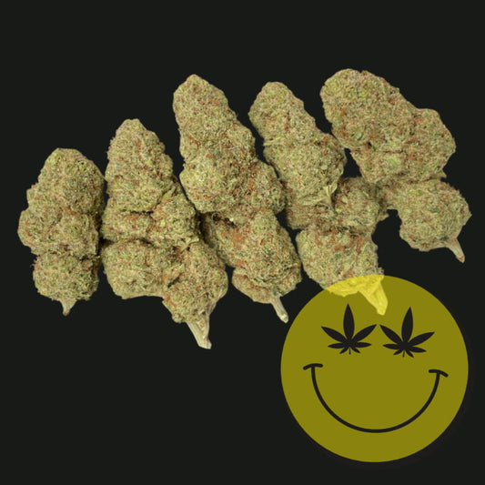 Orange Sherbet CBD Blüten