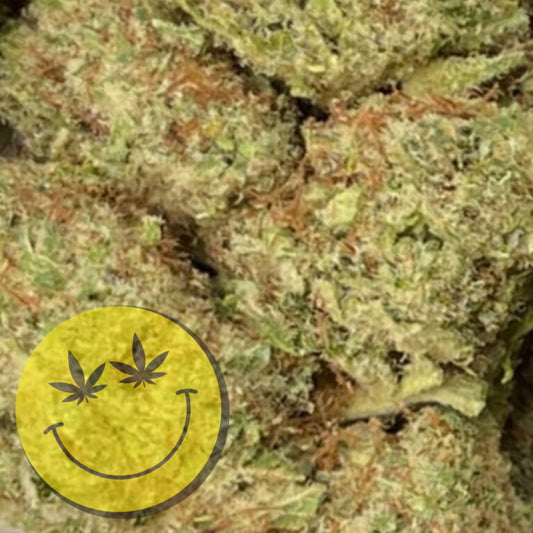 Orange Sherbet CBD Blüten