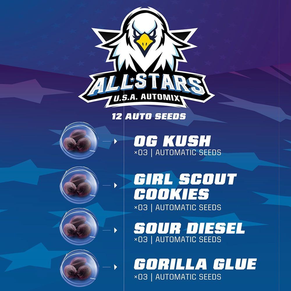 All Stars USA Autoflower Mix - 4 Hochwertige Samen - cannadelic
