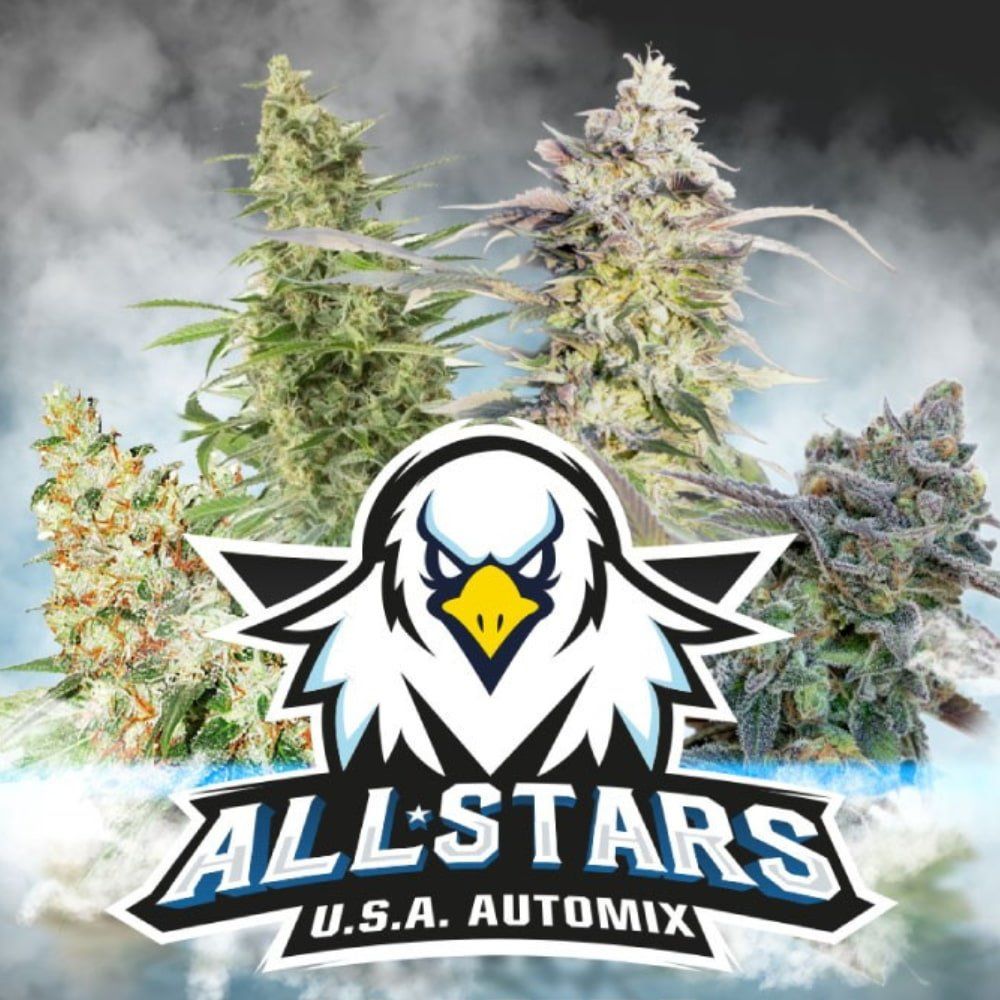 All Stars USA Autoflower Mix - 4 Hochwertige Samen - cannadelic