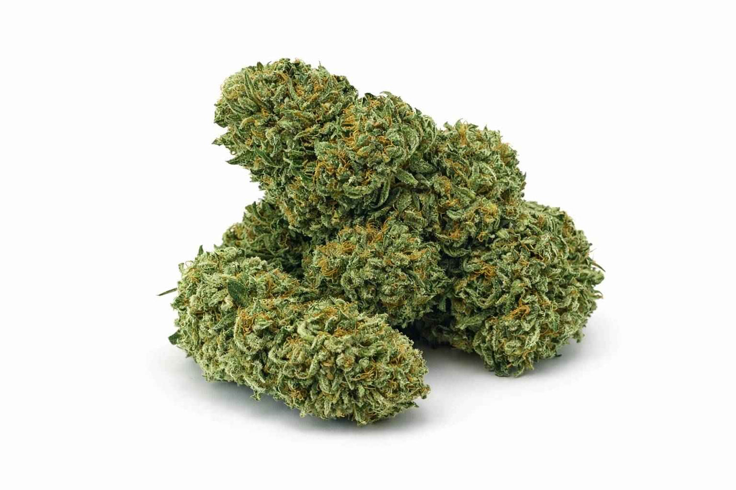 Amnesia Haze NL3