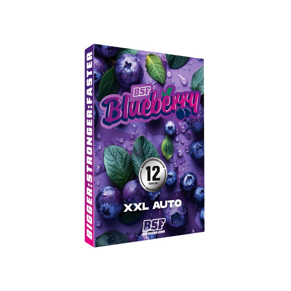 Blueberry XXL Autoflowering Seeds - Premium Quality for Every Grower - cannadelic