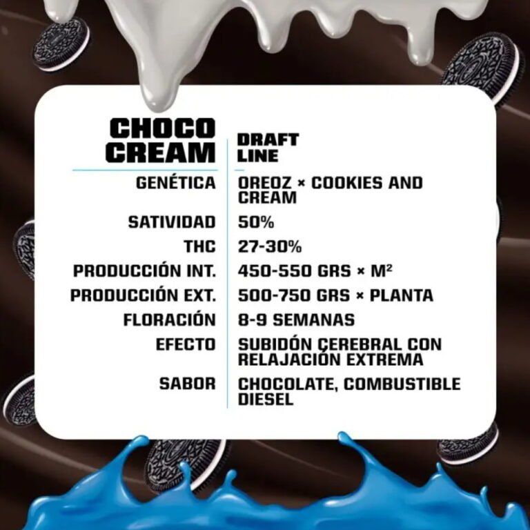 Choco Cream – 2 fem. Samen | 30 % THC Power - Genetik - cannadelic