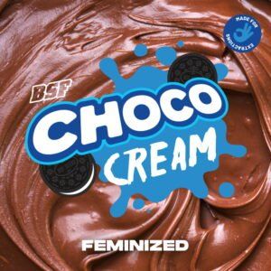 Choco Cream – 2 fem. Samen | 30 % THC Power - Genetik - cannadelic