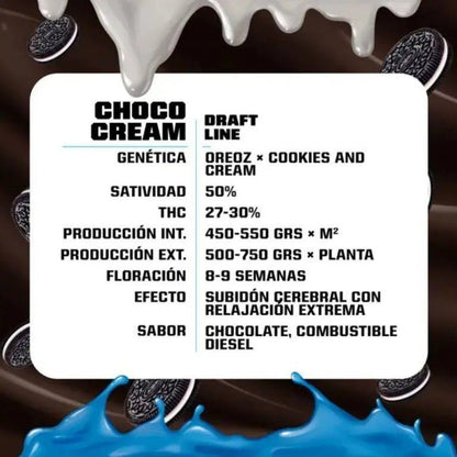 Choco Cream – 2 fem. Samen | 30 % THC Power - Genetik - cannadelic