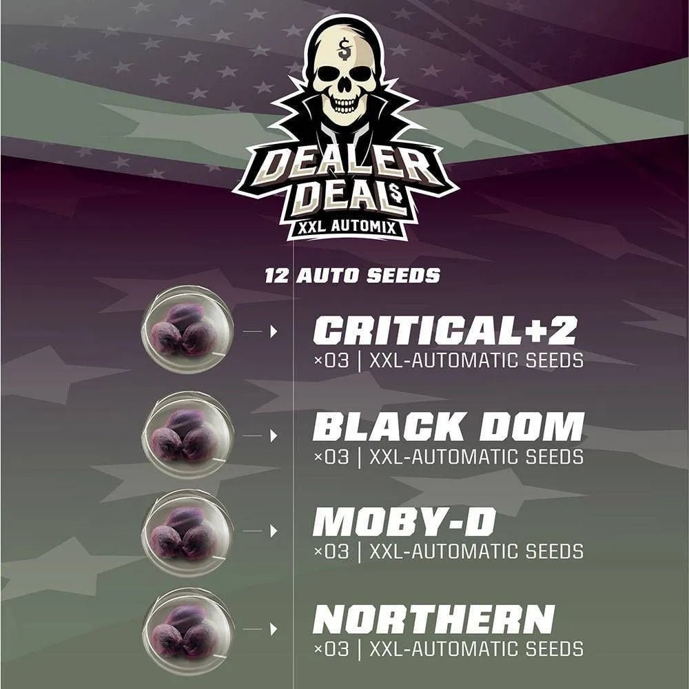 Dealer Deal Auto Mix - 4 Arten von Autoflower - Samen - cannadelic