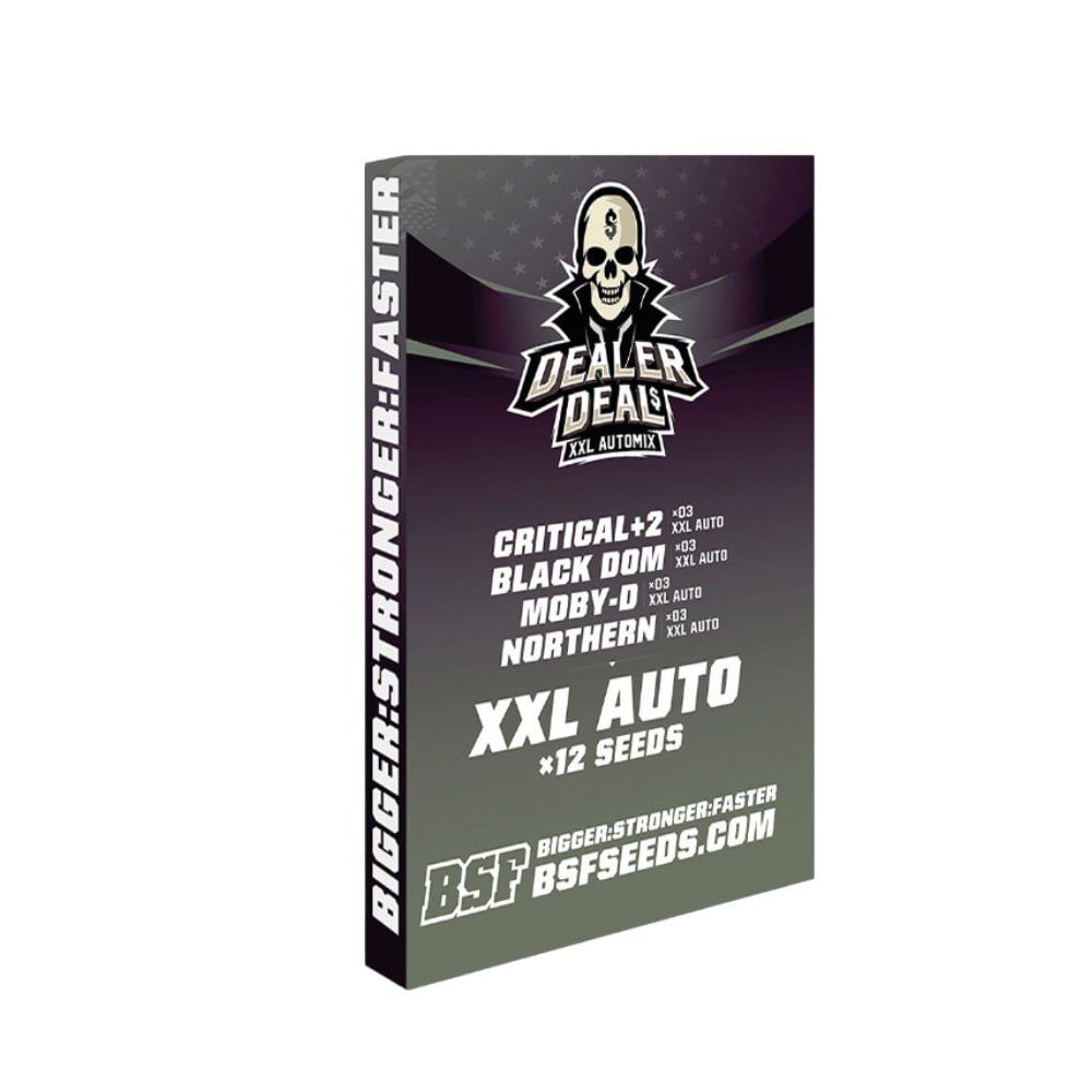 Dealer Deal Auto Mix - 4 Arten von Autoflower - Samen - cannadelic
