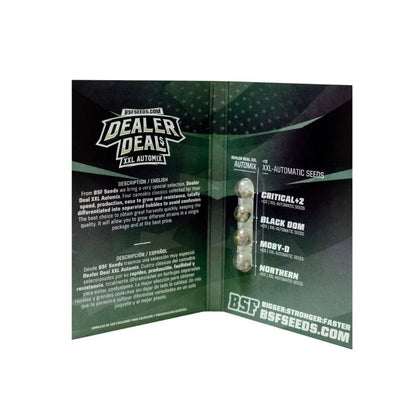Dealer Deal Auto Mix - 4 Arten von Autoflower - Samen - cannadelic