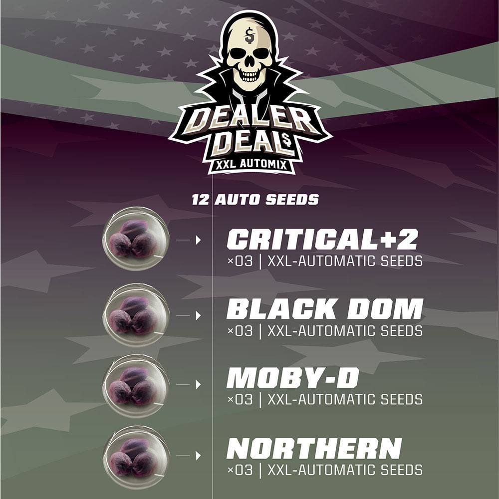 Dealer Deal Auto Mix - 4 Arten von Autoflower - Samen - cannadelic