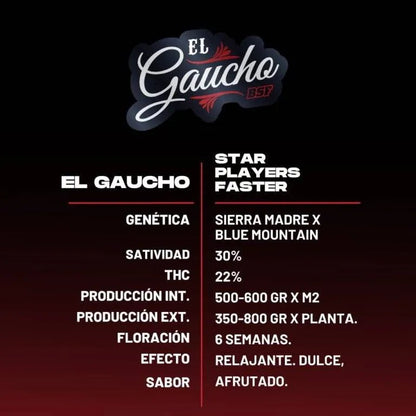 El Gaucho Fast – 2 fem. Schnellblüher - Samen (22 % THC) - cannadelic