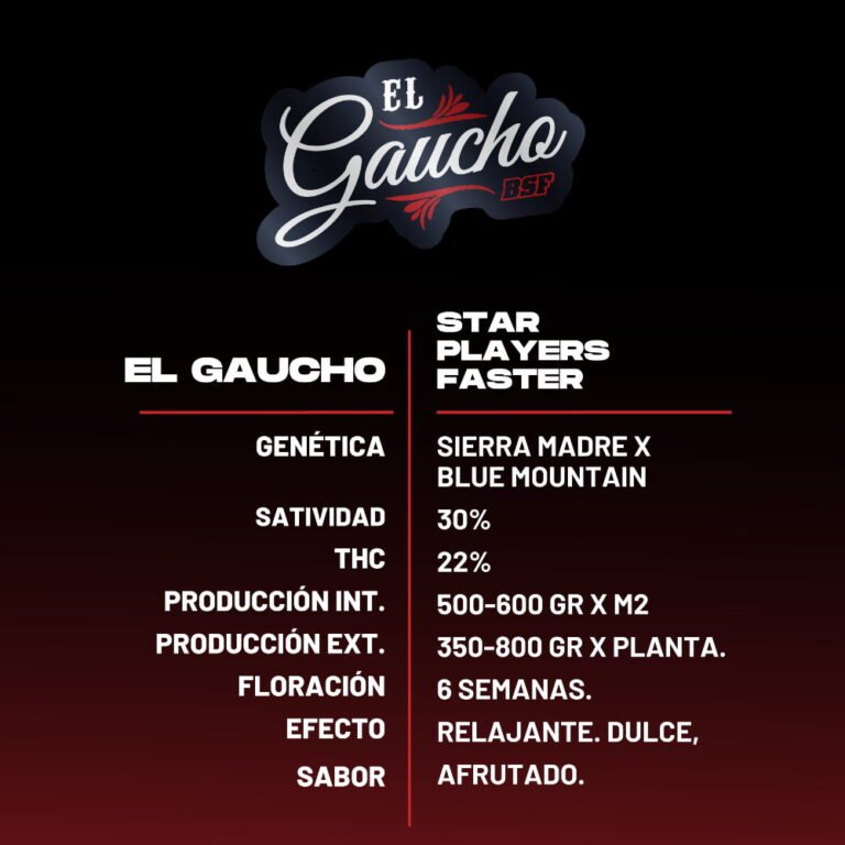 El Gaucho Fast – 2 fem. Schnellblüher - Samen (22 % THC) - cannadelic