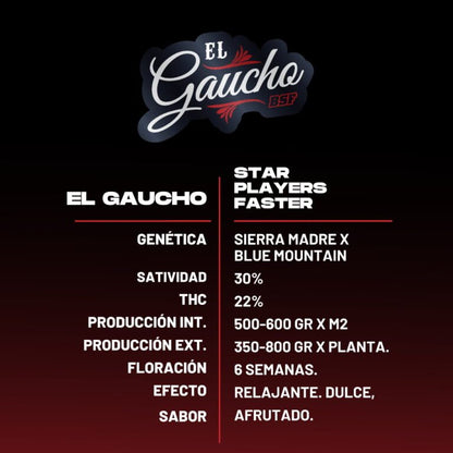 El Gaucho Fast – 2 fem. Schnellblüher - Samen (22 % THC) - cannadelic