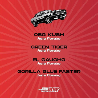Faster And Furious Seeds Mix - cannadelic