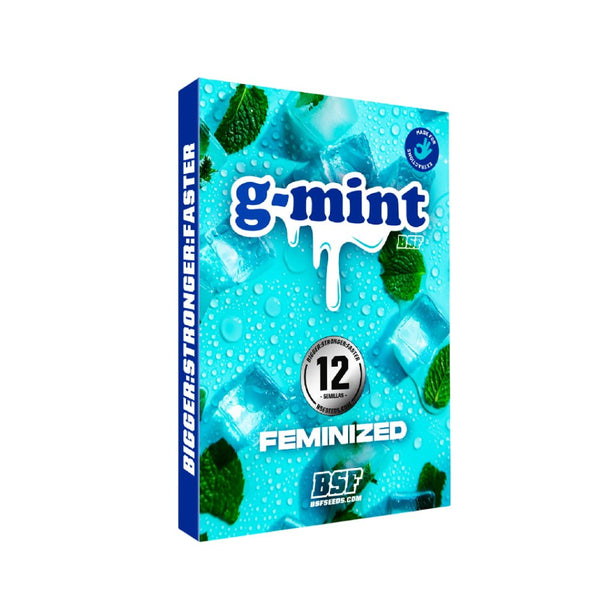 G - Mint Feminised Seeds - cannadelic