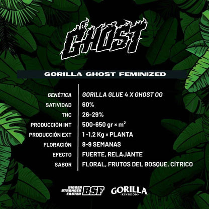 Gorilla Ghost Feminized Seeds - cannadelic
