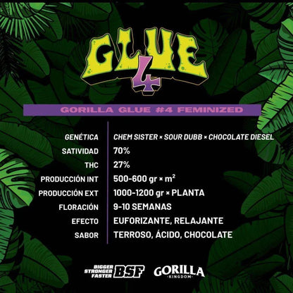 Gorilla Glue 4 Feminized Seeds - cannadelic