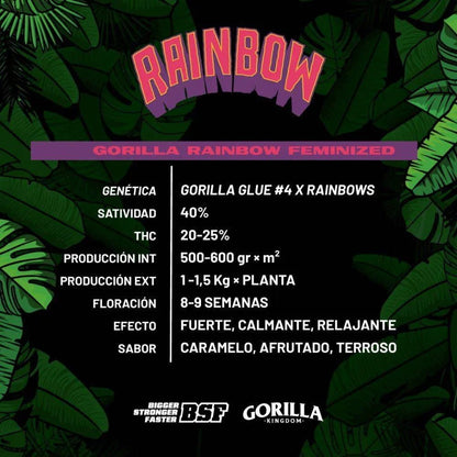 Gorilla Rainbow Feminized - cannadelic