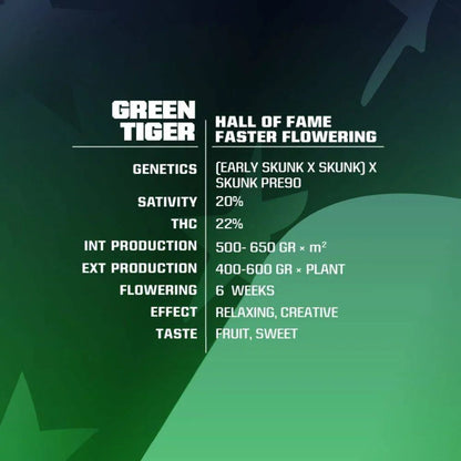 Green Tiger Fast Version - Schnelle blühende Samen für Indoor & Outdoor - cannadelic