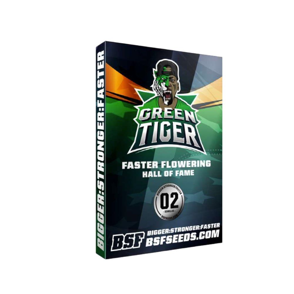 Green Tiger Fast Version - Schnelle blühende Samen für Indoor & Outdoor - cannadelic