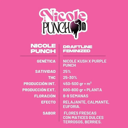 Nicole Punch Feminisiert - Indica Dominante Samen für Indoor & Outdoor - cannadelic