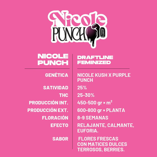 Nicole Punch Feminisiert - Indica Dominante Samen für Indoor & Outdoor - cannadelic