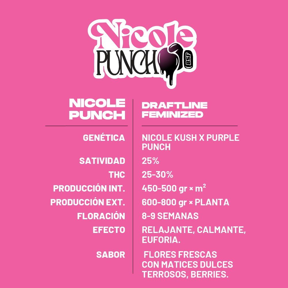 Nicole Punch Feminisiert - Indica Dominante Samen für Indoor & Outdoor - cannadelic