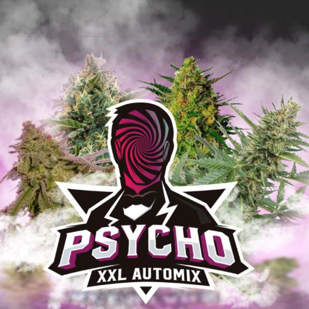 Psycho XXL Auto Mix - 4 Autoflowering Premium Samen - cannadelic