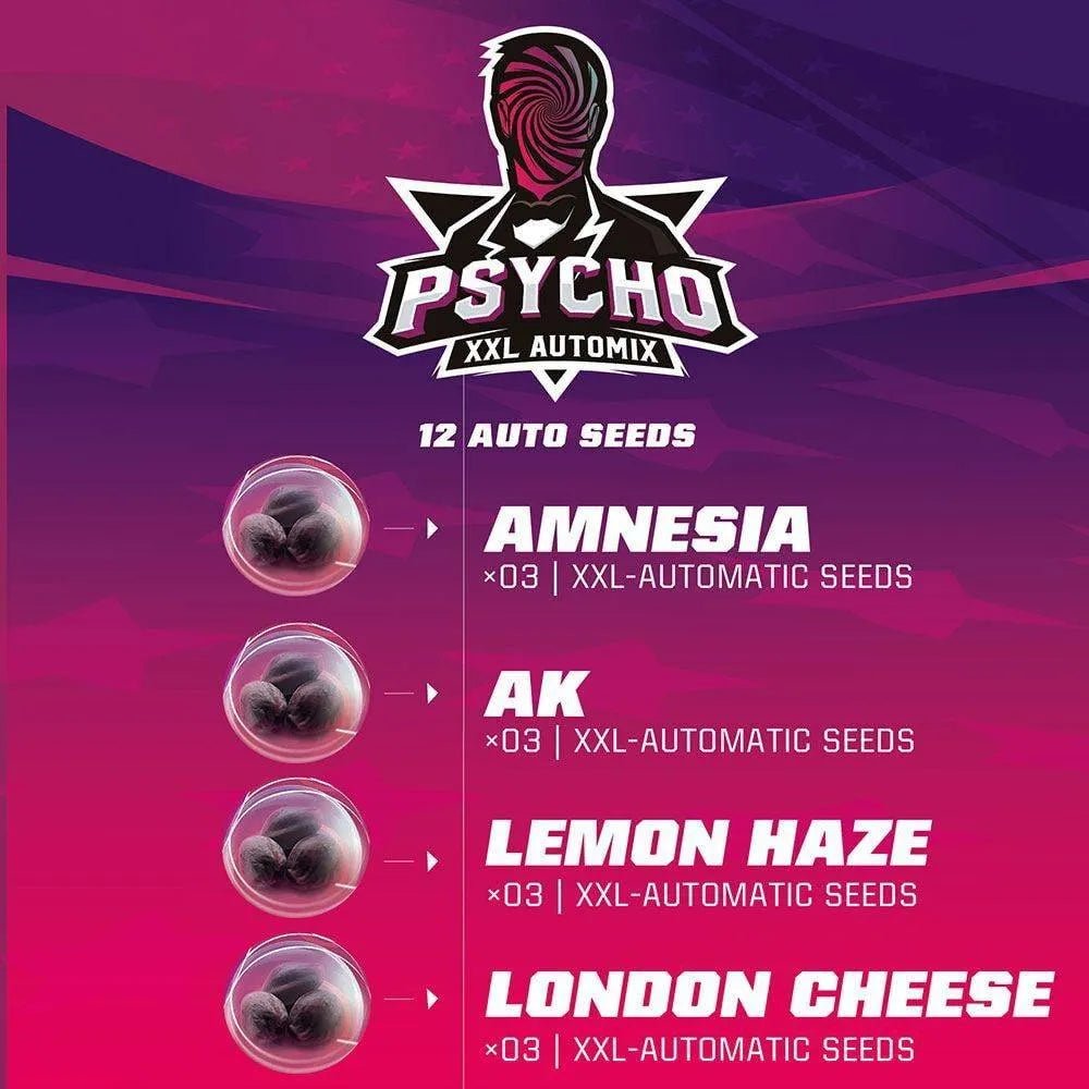 Psycho XXL Auto Mix - 4 Autoflowering Premium Samen - cannadelic