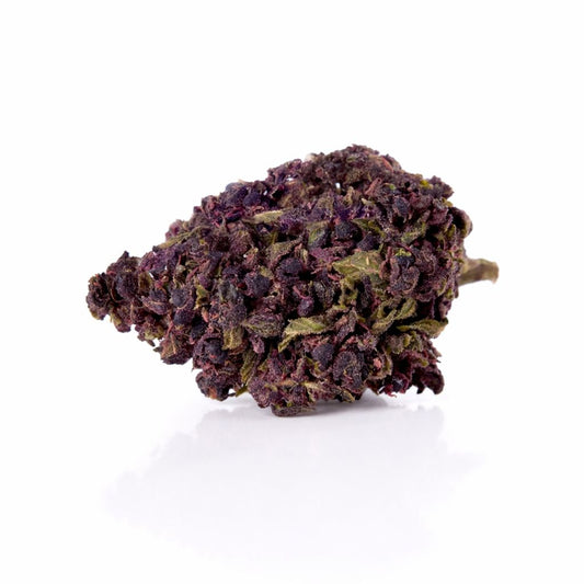 NL3 Blüten Purple Kush