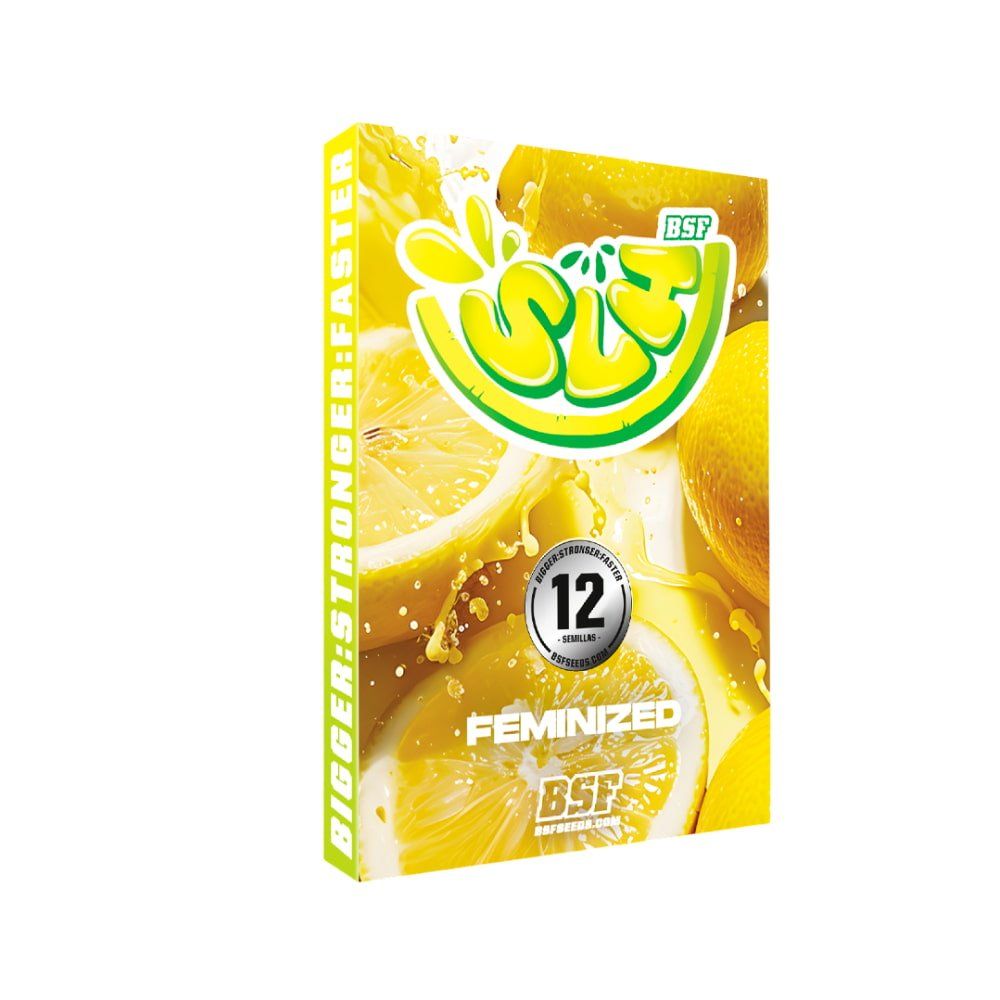 Super Lemon Haze Feminisiert - Hochpotente Cannabis Samen 2 Stk. - cannadelic