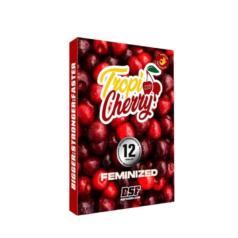 Tropi Cherry Feminisiert – Fruchtiger Sativa - Hybrid mit Kirschen - cannadelic