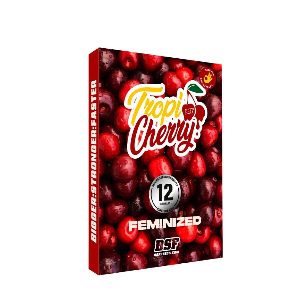 Tropi Cherry Feminisiert – Fruchtiger Sativa - Hybrid mit Kirschen - cannadelic