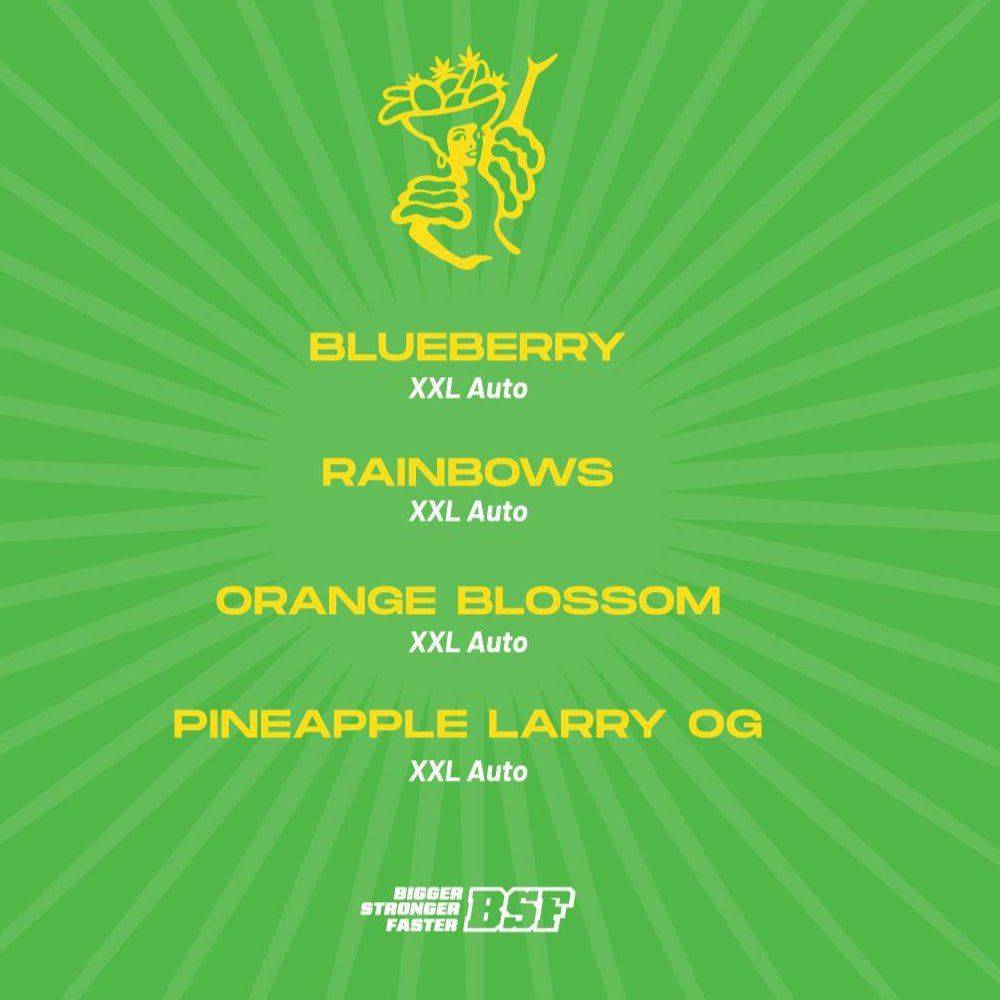 Tutti Frutti Autoflower Mix – Fruchtige XXL - Samen für Genießer - cannadelic