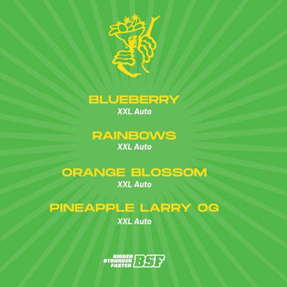 Tutti Frutti Autoflower Mix – Fruchtige XXL - Samen für Genießer - cannadelic