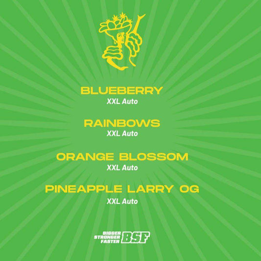 Tutti Frutti Autoflower Mix – Fruchtige XXL - Samen für Genießer - cannadelic