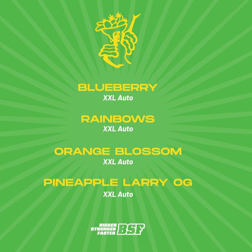 Tutti Frutti Autoflower Mix – Fruchtige XXL - Samen für Genießer - cannadelic