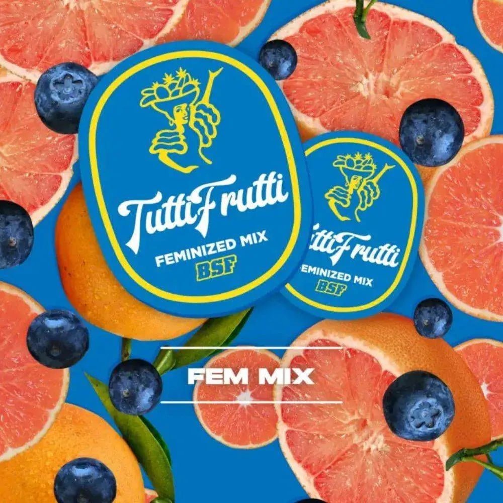 Tutti Frutti Feminisierte Mischung - 4 Sorten für den perfekten Genuss - cannadelic