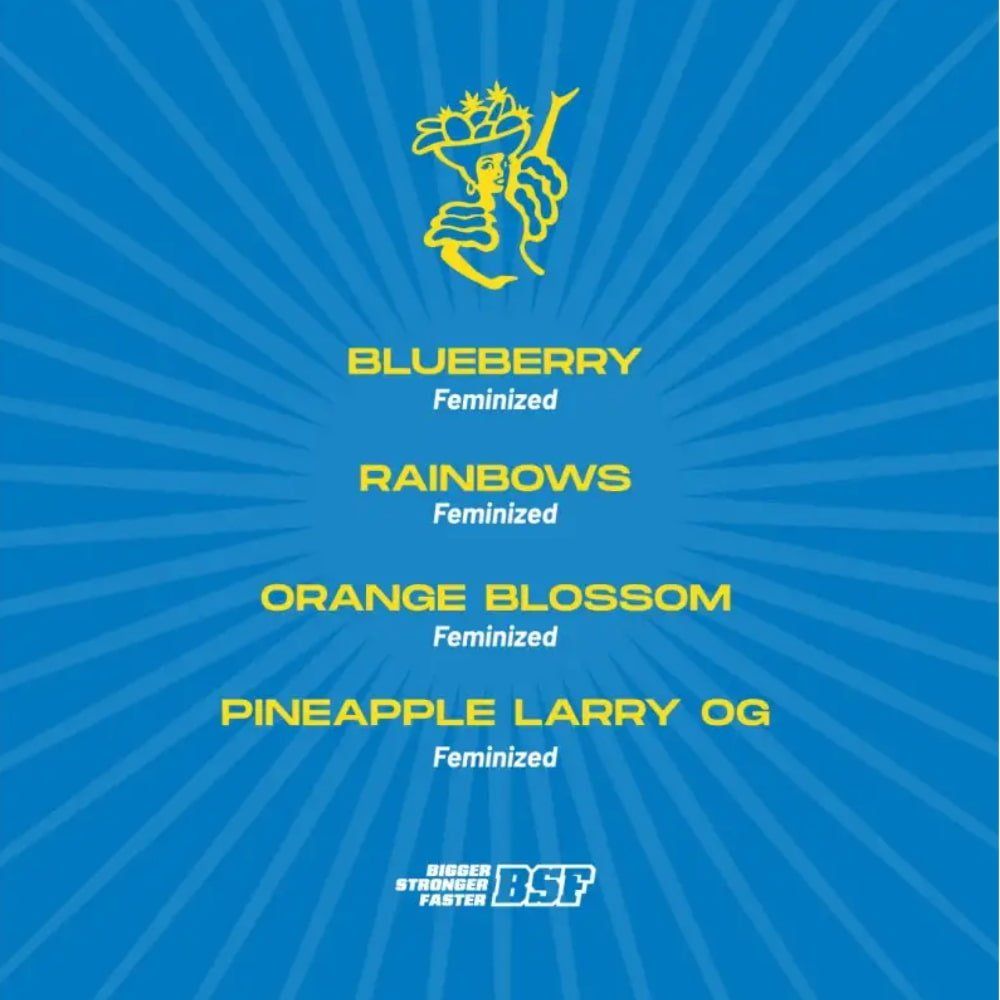 Tutti Frutti Feminisierte Mischung - 4 Sorten für den perfekten Genuss - cannadelic