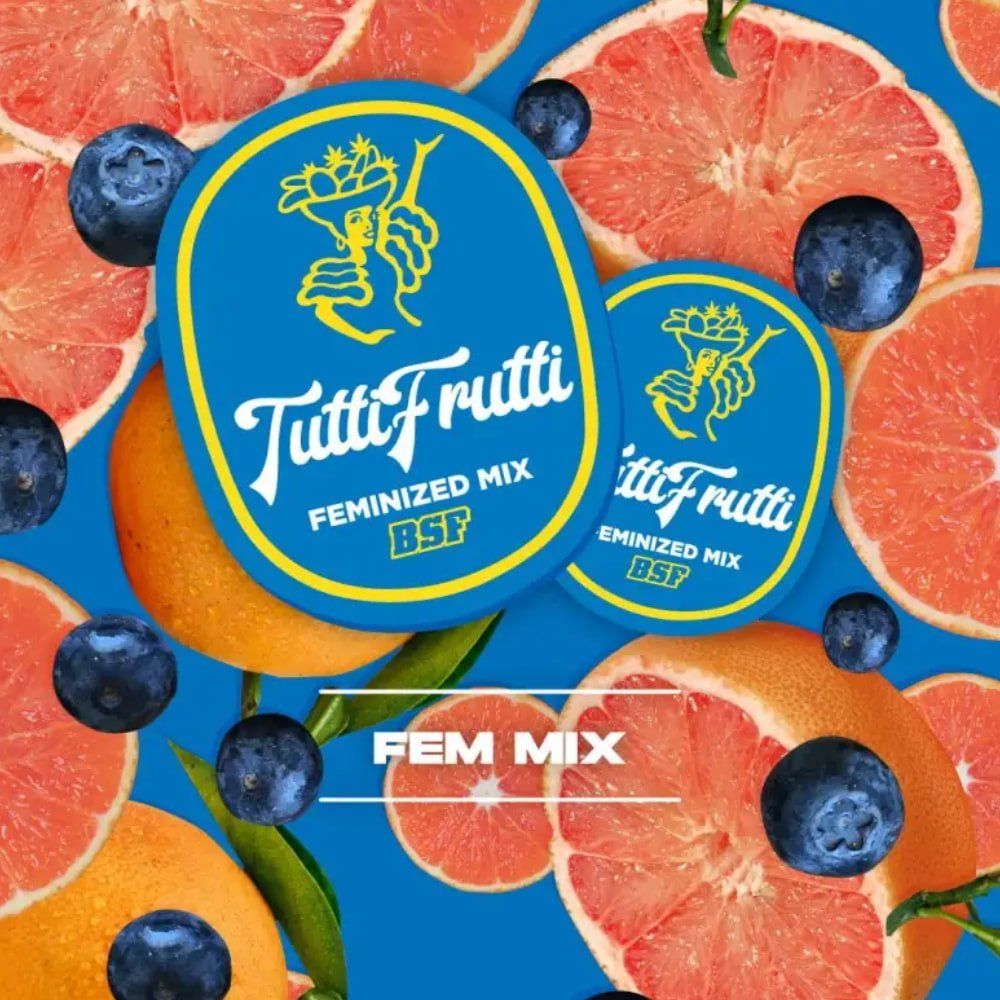 Tutti Frutti Feminisierte Mischung - 4 Sorten für den perfekten Genuss - cannadelic
