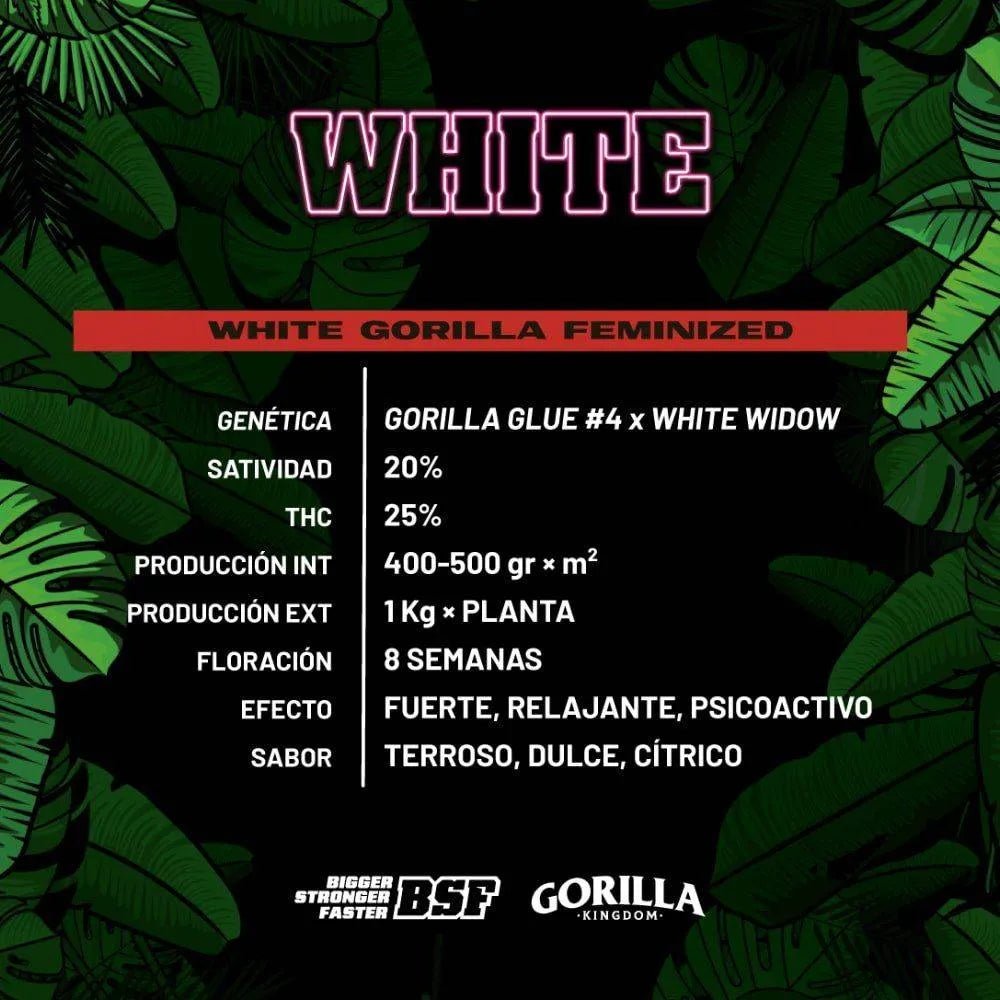 White Gorilla Feminisiert - Hochwertige Cannabis - Samen Paket - cannadelic
